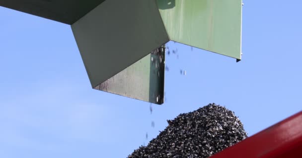 Pièces Métalliques Tombant Dans Une Boîte Machine Traitement Recyclage Ferraille — Video