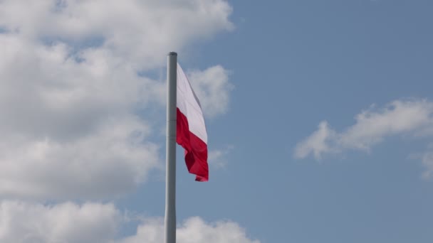 Flaga Polska Maszcie Flagstaff Piękna Polska Flaga Machająca Silnym Wiatrem — Wideo stockowe