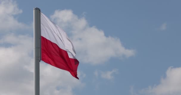 Bandera Polaca Mástil Asta Bandera Hermosa Bandera Polaca Ondeando Con — Vídeo de stock