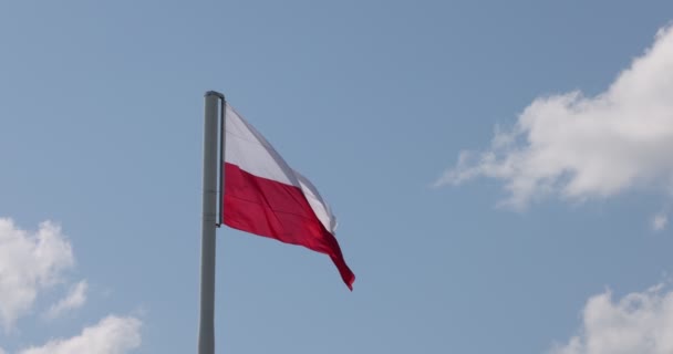 Flaga Polska Maszcie Flagstaff Piękna Polska Flaga Machająca Silnym Wiatrem — Wideo stockowe