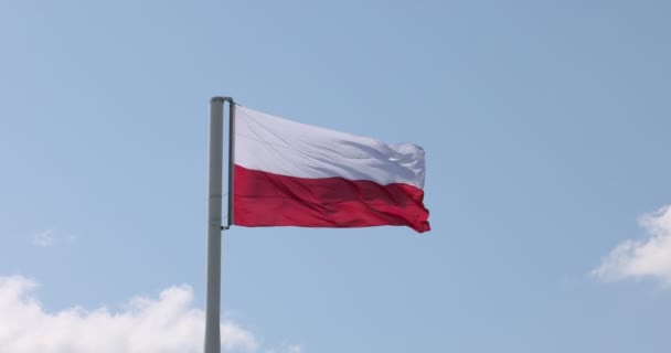 マストにポーランド国旗旗スタッフ 強い風に揺れる美しいポーランド国旗 スローモーション — ストック動画