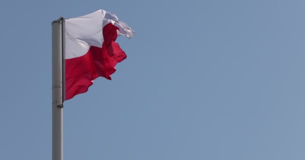Bendera Polandia Tiang Bendera Tiang Bendera Indah Bendera Polandia Melambaikan — Stok Video