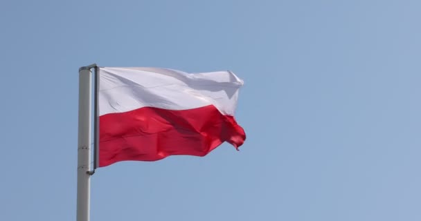 Flaga Polska Maszcie Flagstaff Piękna Polska Flaga Machająca Silnym Wiatrem — Wideo stockowe