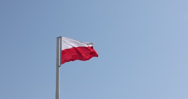 Πολωνική Σημαία Στο Κατάρτι Σημαία Όμορφη Πολωνική Σημαία Κυματίζει Δυνατό — Αρχείο Βίντεο