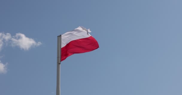 Flaga Polska Maszcie Flagstaff Piękna Polska Flaga Machająca Silnym Wiatrem — Wideo stockowe