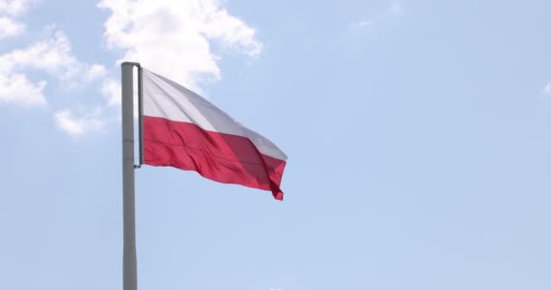 Flaga Polska Maszcie Flagstaff Piękna Polska Flaga Machająca Silnym Wiatrem — Wideo stockowe