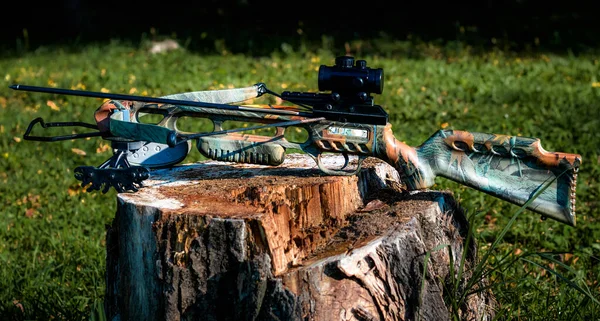 Crossbow Weapon Sport Hunting — Stock Photo, Image