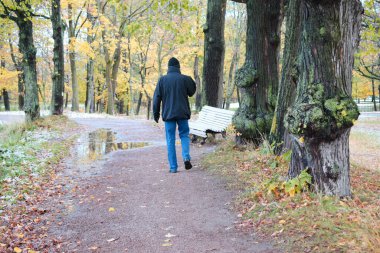 Güz Parkı, yürüyüş ve dinlenme yeri.