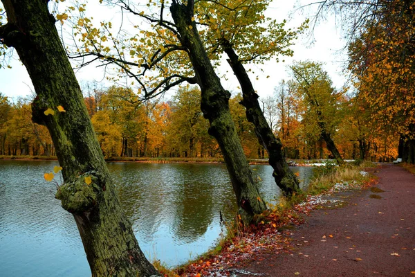 Herbst Park Ein Ort Für Spaziergänge Und Erholung — Stockfoto