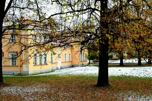 Parque Invierno Lugar Para Caminar — Foto de Stock