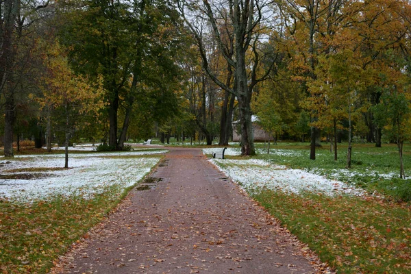 Parque Invierno Lugar Para Caminar —  Fotos de Stock