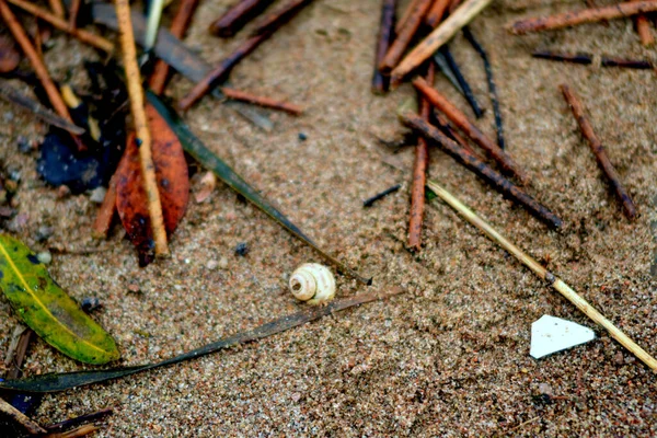 Areia Mar Após Maré Baixa — Fotografia de Stock