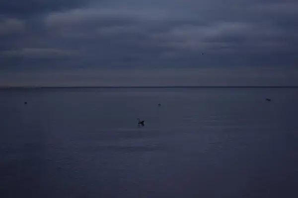 Θαλασσογραφία Θέα Στη Θάλασσα Βράδυ — Φωτογραφία Αρχείου