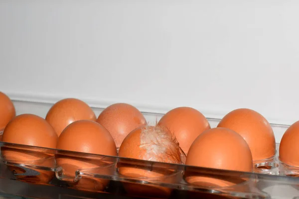 Яйця Клітинах Холодильнику — стокове фото