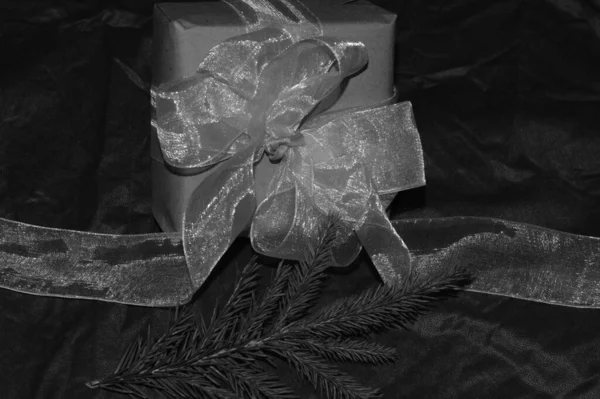 Κουτί Δώρου Φιόγκο Και Κλαδί Δέντρου — Φωτογραφία Αρχείου