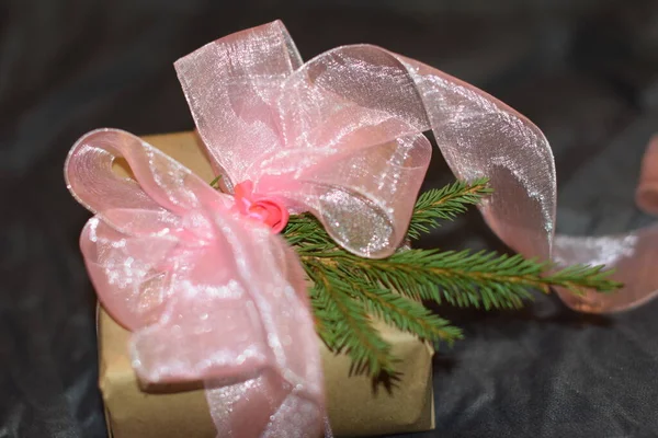 Gift Box Bow Tree Branch — Stock Photo, Image