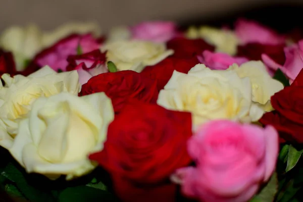 Buquê Flores Brilhantes Flores Aniversário — Fotografia de Stock