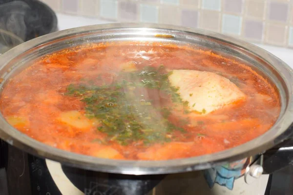 Sopa Con Pollo Verduras — Foto de Stock