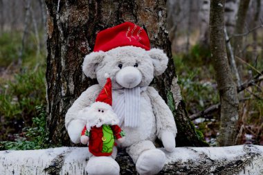 Teddy bear in the woods, Christmas background