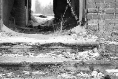 Eski bir evin kalıntıları.