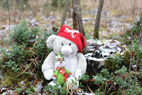 Teddy Bear Woods Christmas Background — Stock Fotó