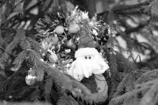 Weihnachtsdekoration Weihnachtsmann Wald — Stockfoto
