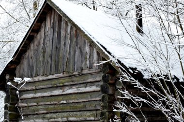 Karla kaplı ağaçların arasında ahşap ev, kış havası, kış
