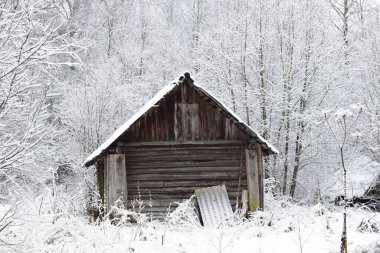 Karla kaplı ağaçların arasında ahşap ev, kış havası, kış