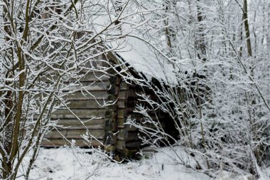 Karla kaplı ağaçların arasında ahşap ev, kış havası, kış