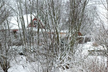 Karla kaplı ağaçların arasında ahşap ev, kış havası, kış