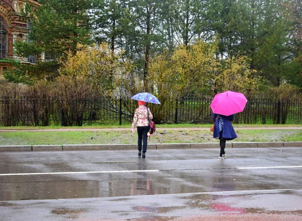 People Umbrellas Rainy Day — Stock Photo, Image