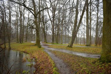 bahar parkı, Uyanış 