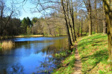 Bahar parkındaki gölet
