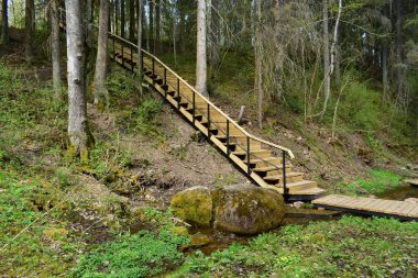 Merdivenler, yokuş yukarı, merdivenler.