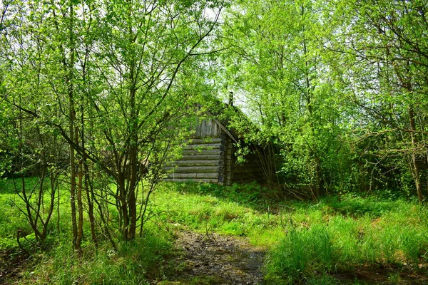 Altes Holzhaus Dorf — Stockfoto