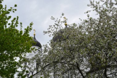 church building, church domes, place of worship, faith