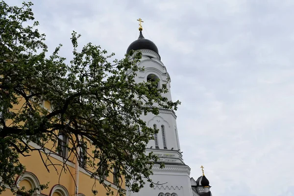Kirchenbau Kuppeln Gotteshaus Glaube — Stockfoto