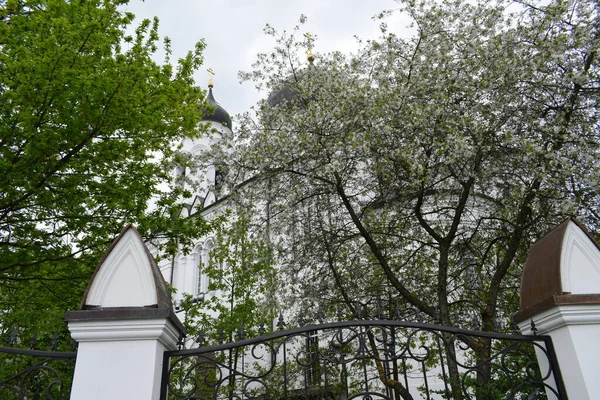 Church Building Church Domes Place Worship Faith — Φωτογραφία Αρχείου