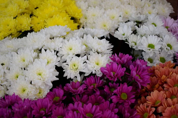 Flores Brilhantes Buquê — Fotografia de Stock