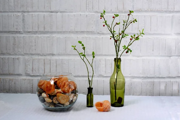 Frühlingszweige Einer Vase Muscheln Und Steine Auf Hellem Hintergrund — Stockfoto