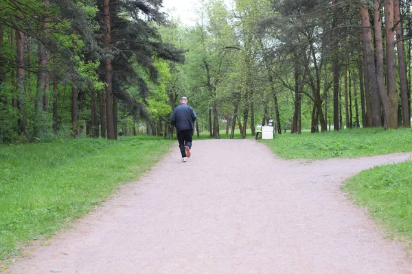 Joggen Het Park Sporten — Stockfoto