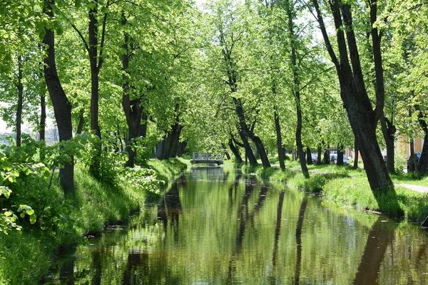 Parque Primavera Día Soleado Primavera — Foto de Stock