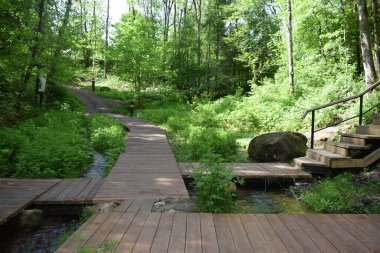 Koruma alanı, insanlar için rahatlama yeri, bir insan için yürüyüş yeri.
