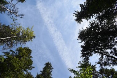 Mavi gökyüzü, beyaz bulutlar, sıra dışı bulutlar