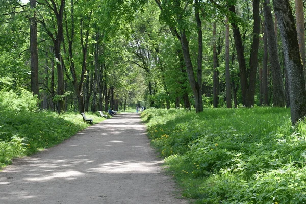 Tuin Landschapsarchitectuur Een Plek Van Menselijke Ontspanning — Stockfoto