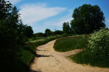 Parkın manzarası, yaz günü