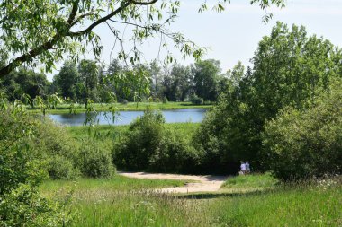 Yaz manzarası, yaz başı, taze yeşil çimenler, ağaçlar.