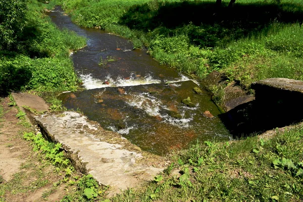 Paysage Dans Parc Journée Été — Photo