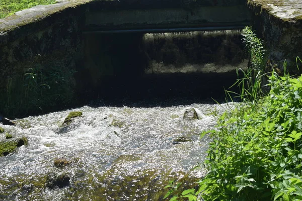 Patak Parkban Nyári Nap — Stock Fotó