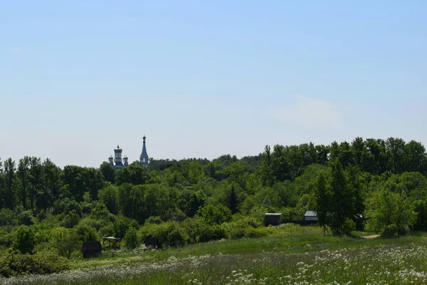 Paysage Estival Début Été Herbe Verte Fraîche Arbres — Photo